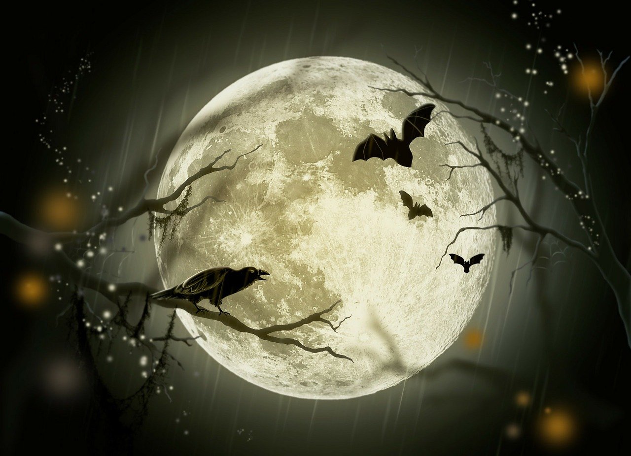 Concept of Full Moon with Bats and Crows in the Night